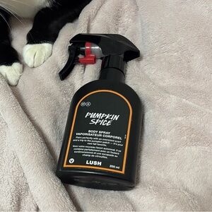 lush pumpkin spice